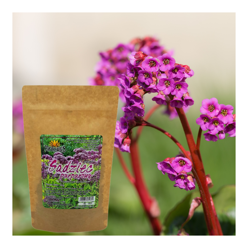 Proherbis Sadziec Purpurowy 50g Zioło Suszone do Herbat, Naparów i Zdrowia