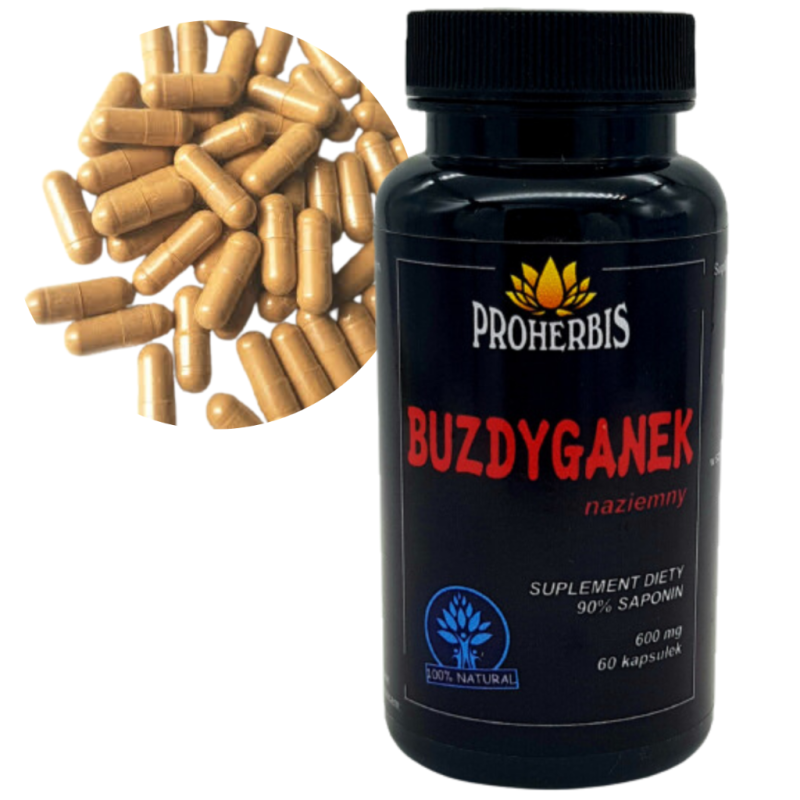 Buzdyganek naziemny 60 kapsułek wzmacnia układ hormonalny poprawia libido