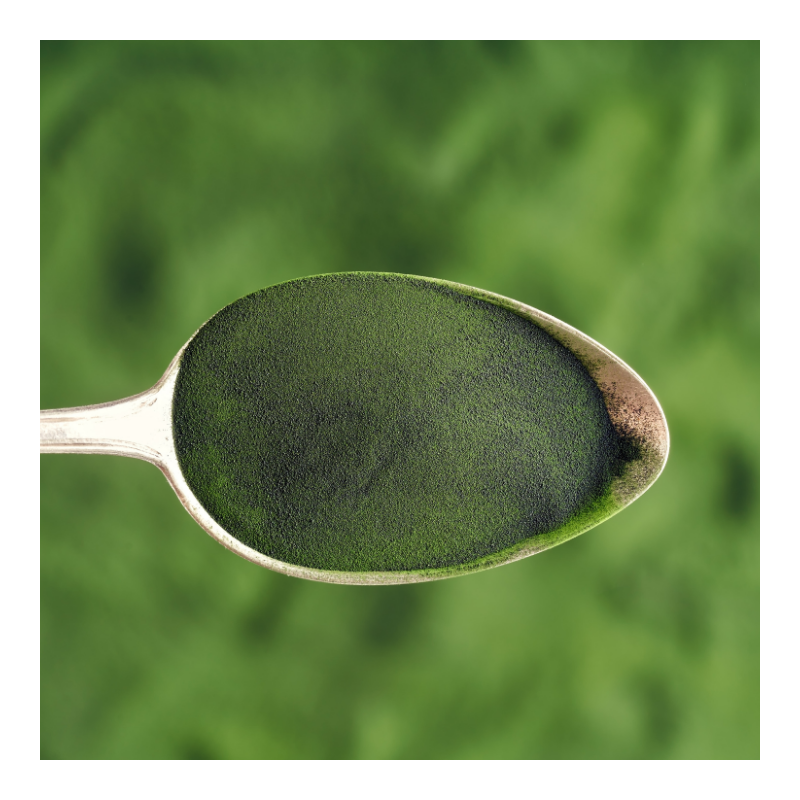 Chlorella 100% proszek 100 g naturalny suplement wspierający oczyszczanie