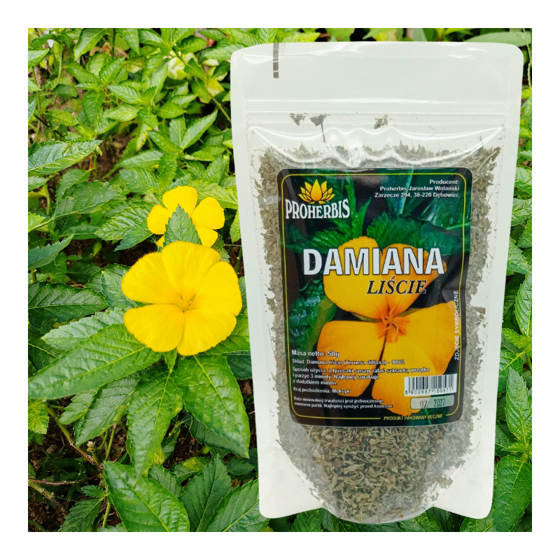 Liść Damiana 100% susz 50g naturalna herbata na relaks i dobre samopoczucie