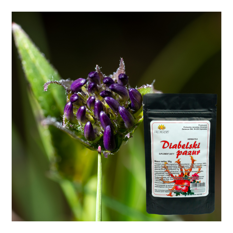 Diabelski Pazur 50 g — korzeń mielony
