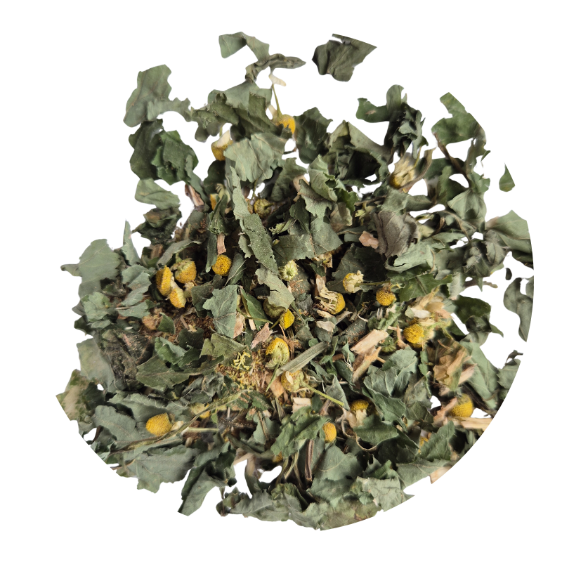 Fibrofochy 100g – ziołowa herbatka wspierająca komfort mięśni i stawów