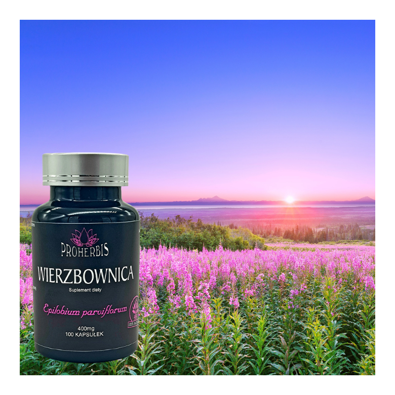 Wierzbownica drobnokwiatowa 400 mg 100 kaps