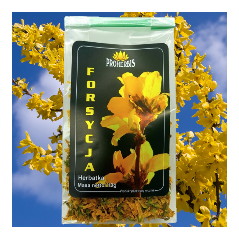 Forsycja kwiat 10 g — suszone kwiaty