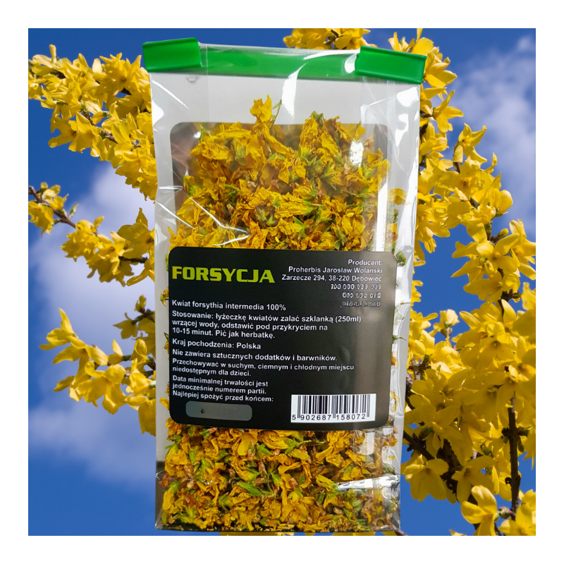 Forsycja kwiat 10 g — suszone kwiaty