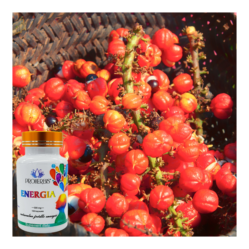 Energia 500 mg 100 kaps — Proherbis