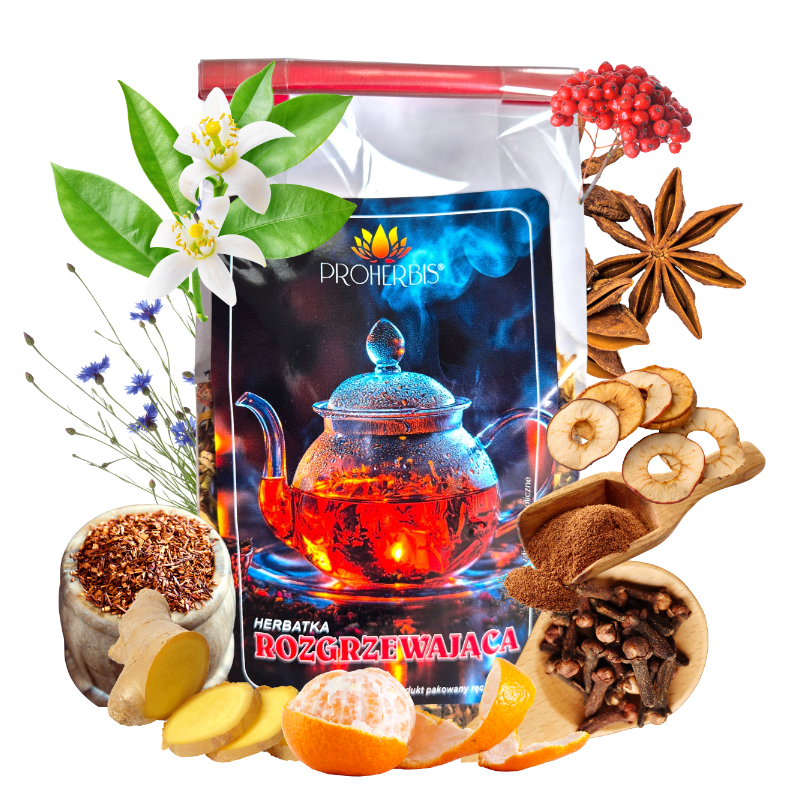 Proherbis Herbatka Rozgrzewająca 100g – imbir, cynamon, goździk, pomarańcza