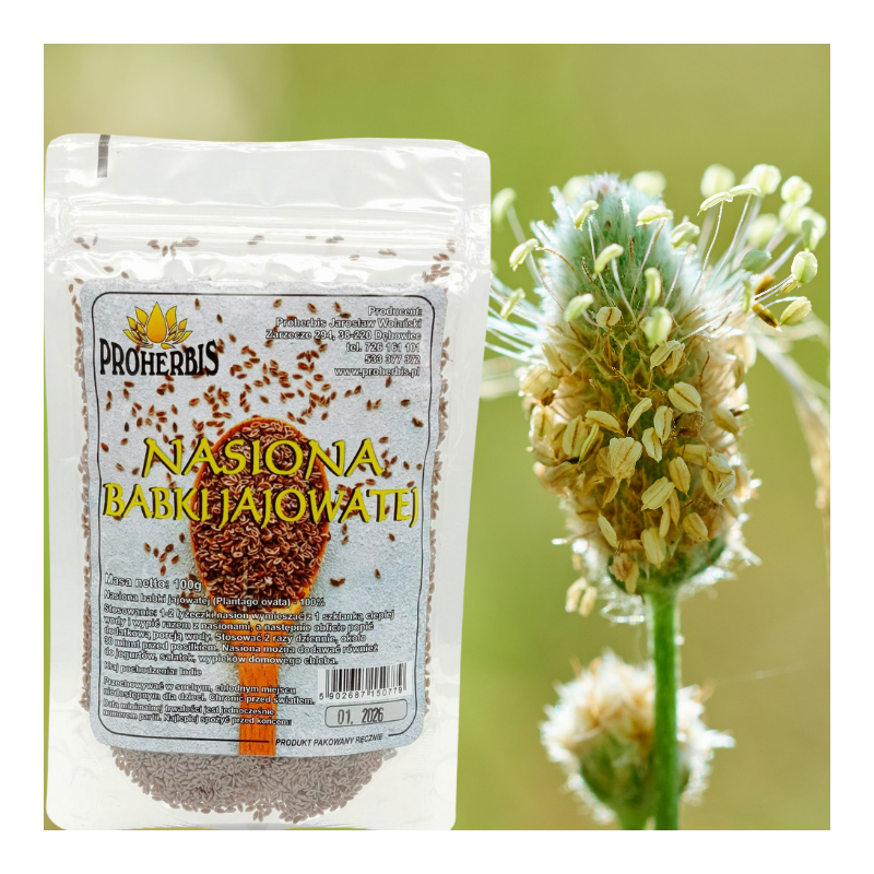 Babka jajowata nasiona 100 g — Plantago ovata