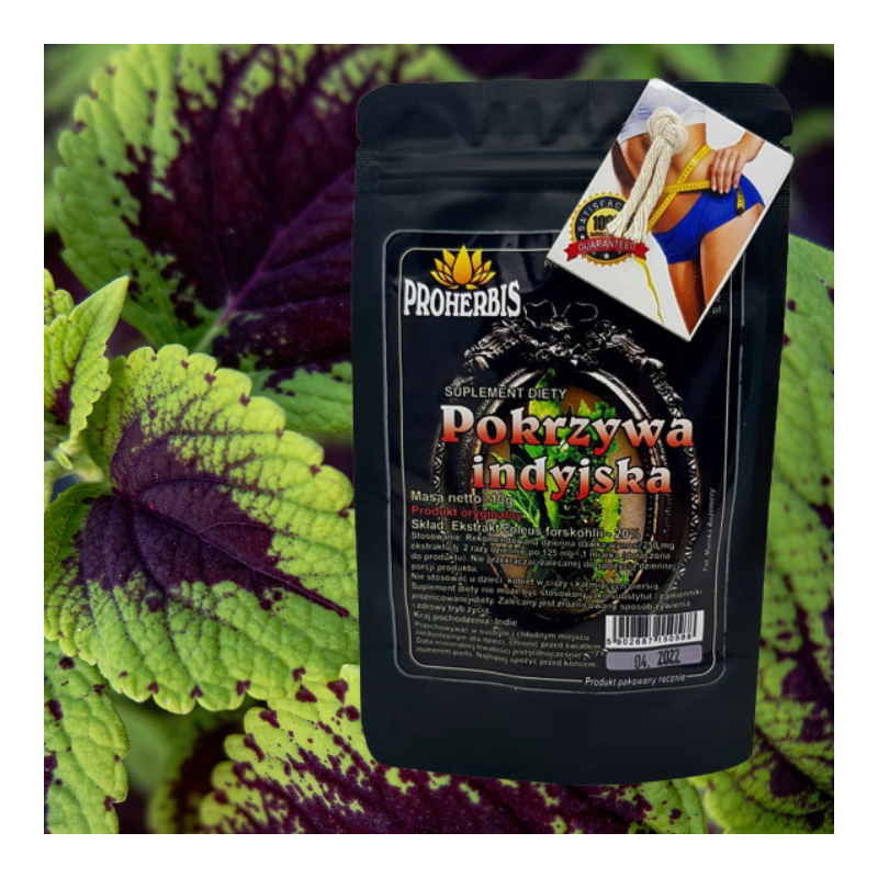 Pokrzywa Indyjska Forskolina 10g Proherbis – metabolizm sylwetka – Indie