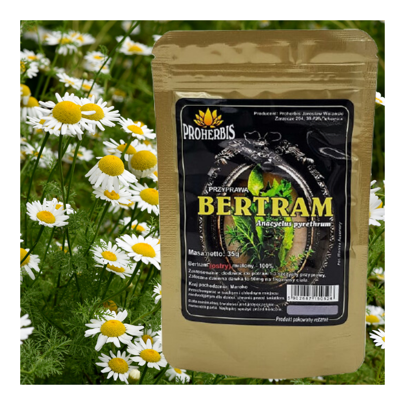 Mielony bertram ostry 35g – klasyczna przyprawa do dań