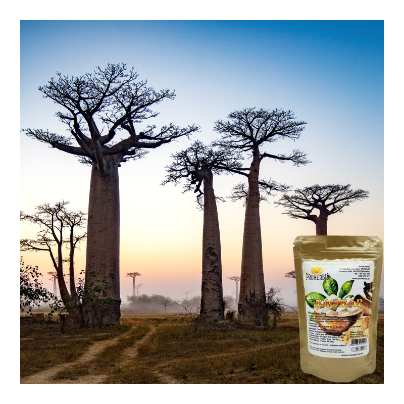 Owoc Baobabu Mielony 100g Proherbis | 100% Naturalny Superfood
