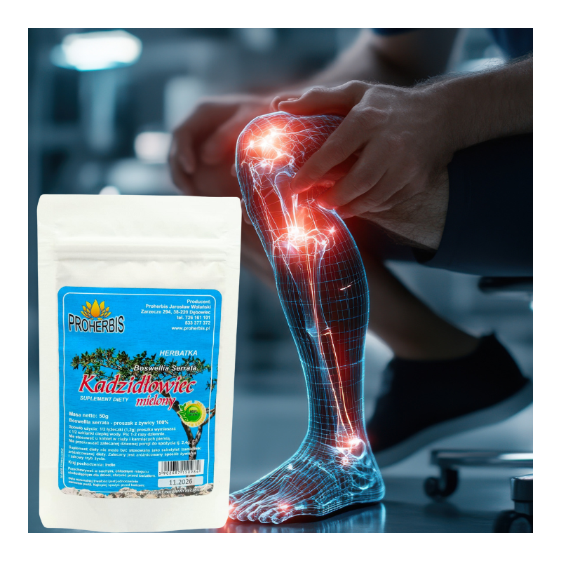 Kadzidłowiec Boswellia Serrata 50 g Proherbis  suplement wspomagający stawy