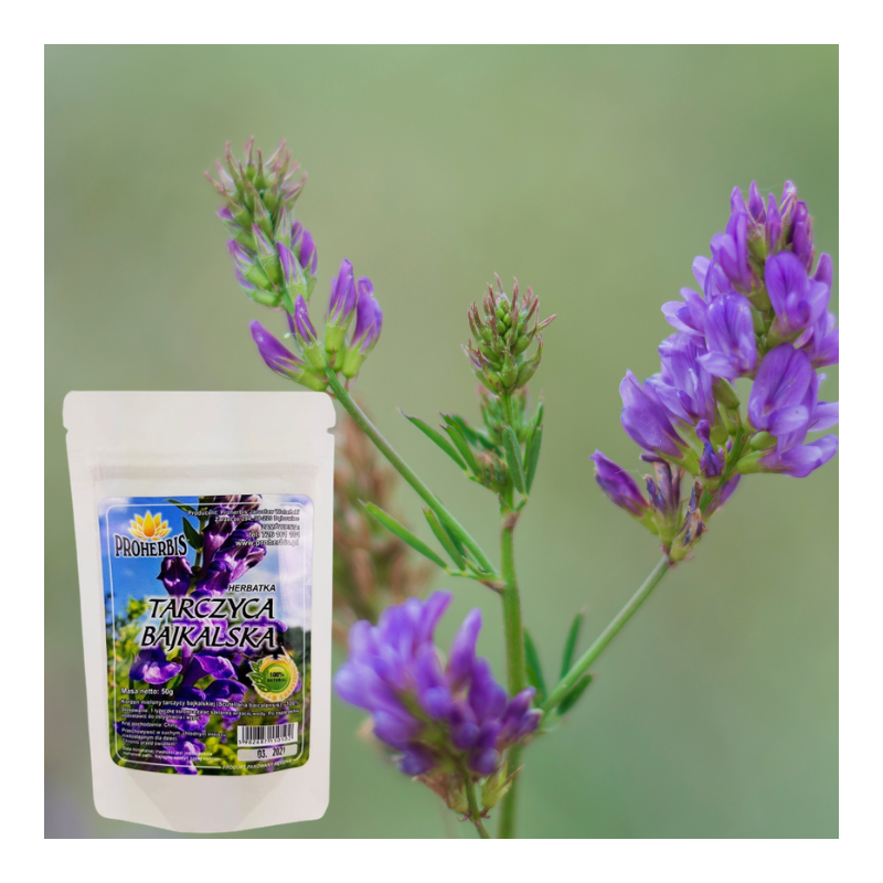 Tarczyca Bajkalska 50g Proherbis ziele mielone 100% naturalne