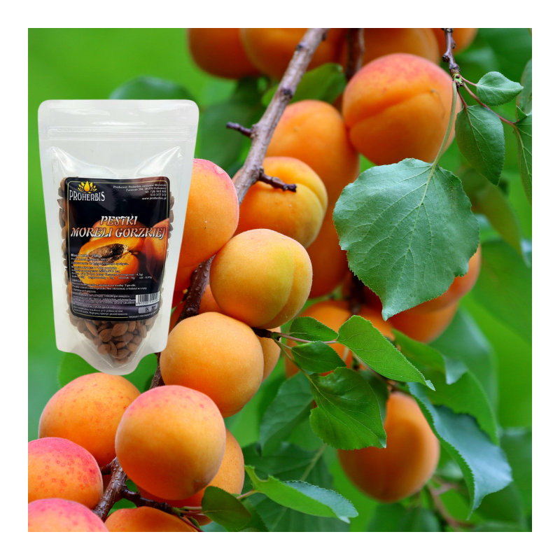 Pestki moreli gorzkiej 250g – naturalne, bez dodatków