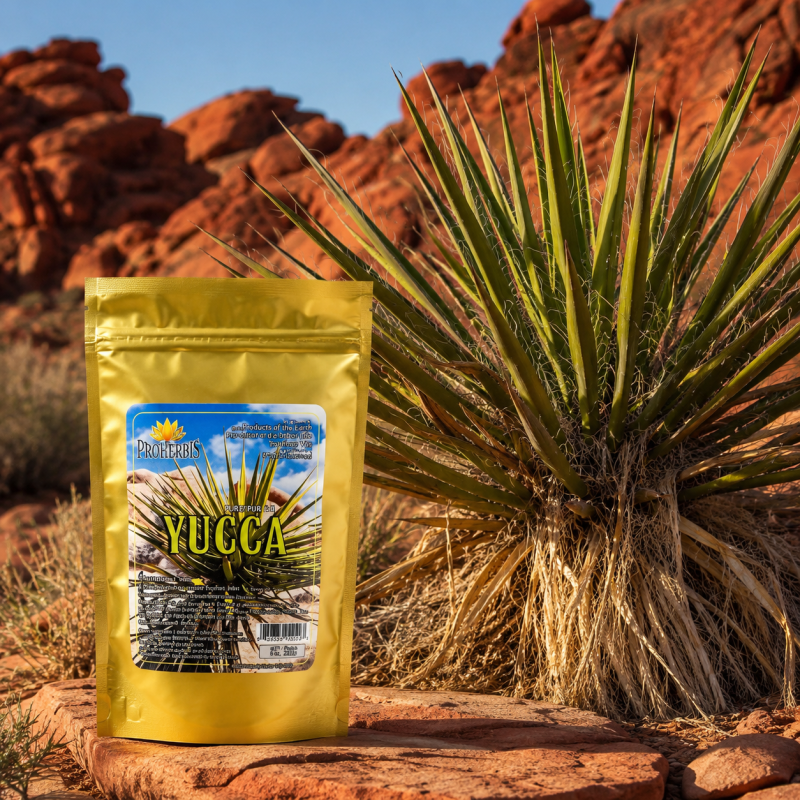 Herbatka Yucca Schidigera 100 g — korzeń mielony